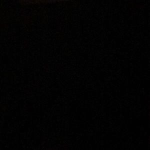 Meet your Posher, Darlene